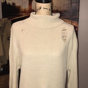 Turtle neck sweater/dress